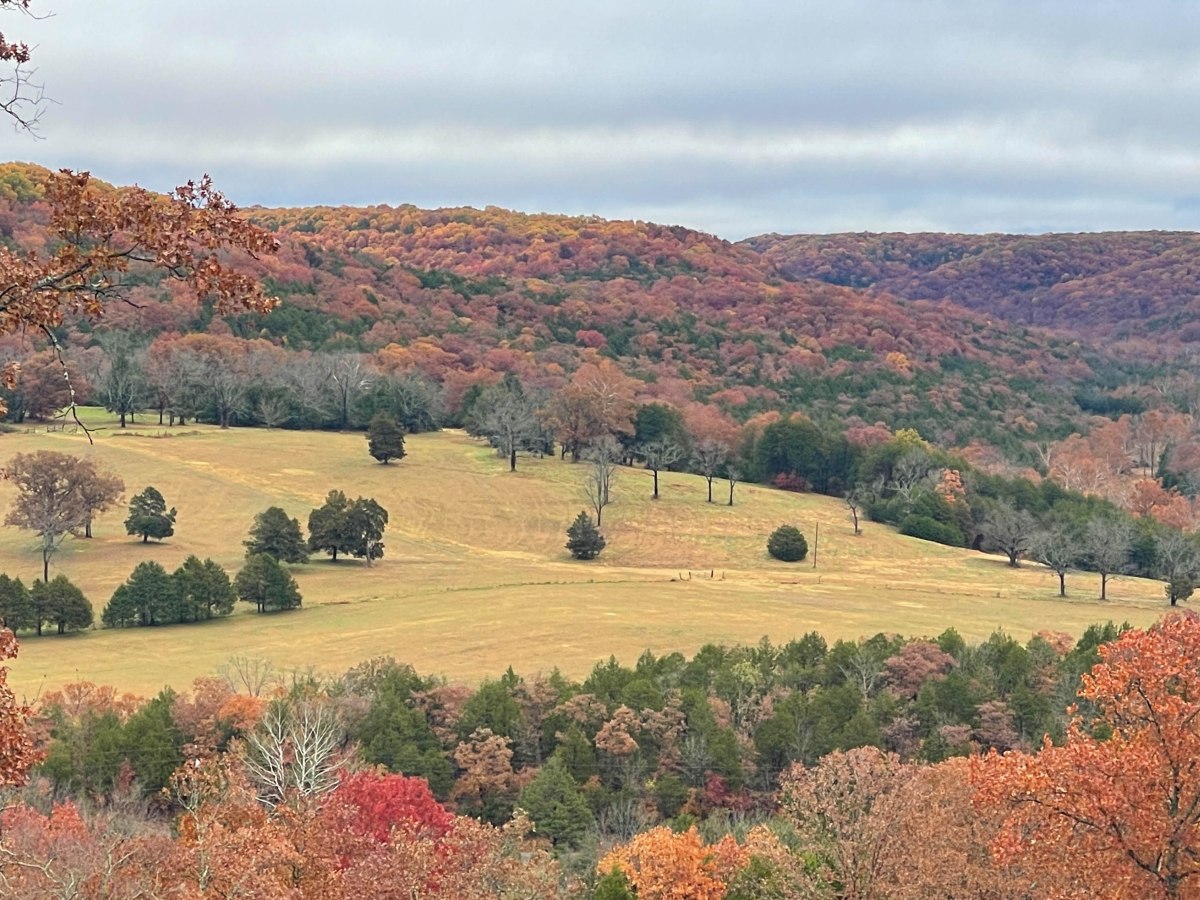 Pain Multiplies Mercy